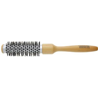 Brosse Thermo bois CENTAURE D.25/40mm